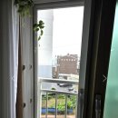 신포동2가010 이미지