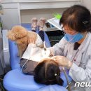 소영치과의원 뉴스1