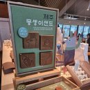 파리바게뜨 동화마을점 한정판 '제주 몽생이샌드' 구매 후기 (주차/내부/메뉴)