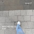 성수동 첫 대단지 아파트이자 지주택 신화, 서울숲아이파크리버포레 아파트의 미래 가격은?