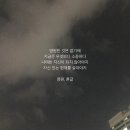 송이로 이미지