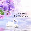 만남은, 인연은... 이미지