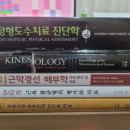 종로광장정형외과의원 이미지