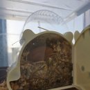 엔젤 | 맛집/아산 온천동 수족관 카페 엔젤인어항 방문 후기