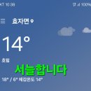 미련곰탱이 이미지