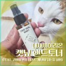 내새끼이리온 캣닢 핸드토너 후기 (고양이 반응 교감 테스트)