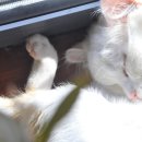 썬댄스펜션 이미지