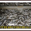 보성공조 이미지