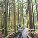 한라산둘레길안내센터 | 제주 아이랑 갈만한곳 사려니숲길 유모차 데크길 잘되어있네 ?지도확인 필수