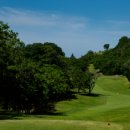 호텔보보스 이미지