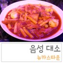 뉴카스타운