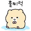 우두리포펫애견펜션