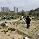 부산시설공단부산시민공원 | 부산시설공단, 부산시민공원 '시민꽃밭' 가꾸기 참여자 모집