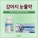 초롱동물약국 네이버블로그