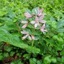 영덕환경자원관리센터 이미지