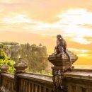 마이꾸따 이미지