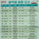 씨돌농장 네이버블로그