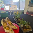 분더하우스 이미지