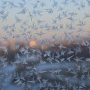 종합운동장 기타 이미지