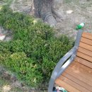 장수원경로당 이미지