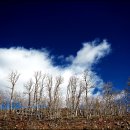 바람이 불어오는 곳 이미지