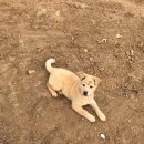 재철농장 이미지