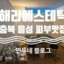 해리에스테틱
