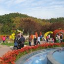 대구수목원 이미지