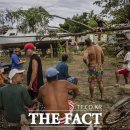 이언농장 이미지