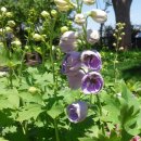 바람의정원 이미지