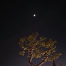 라이즈 카페 | 익산 대형카페 라이즈 야경이 예쁜카페 다녀온 후기✏️