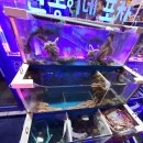 완똥이네 | [완똥이네 포차]독산동에 다녀온 후기