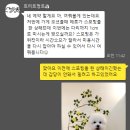 트리트멍트 이미지