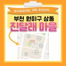 석천초등학교병설유치원 | 아소비공부방 창업 추천지역: 부천 원미구 상동 진달래마을