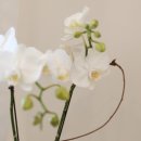 동고한의원 이미지