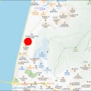 하단SK뷰공인중개사사무소 네이버블로그