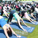 건강 요가-A 이미지