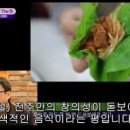 남노명가 Daum카페