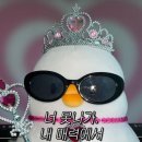 정훈이불 이미지
