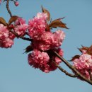 중앙체육공원 이미지