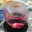 기억나무펜션 이미지