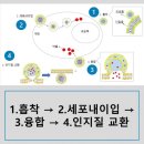 디아제팜정 2MG 꼭알아야할 효과부작용 복용후기