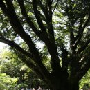 좌가연대 이미지