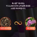 톡스 이미지