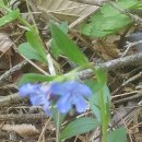 진주농원 이미지