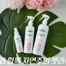 미자애견 네이버블로그