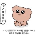 보라카이오락실 | 보라카이 가는 방법 비교 | 칼리보 직항 VS 마닐라 경유 후 까티클란