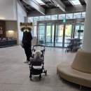 그린에너지플라자 | [평창]애견동반 숙소 휘닉스파크 스카이스탠다드 솔직후기