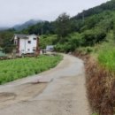 가야면 성기리 이미지