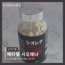 보화식품 | 일본에서 만나본 메타웰 시오레나, 중년 활력 관리 후기